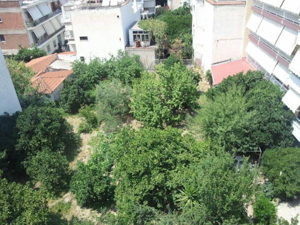 Hotel Foivos Loutra Edipsou  Habitación foto